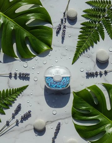 Bluetooth 5.2 True Wireless Earbuds – Long Battery Life, Digital Power Case, High Sensitivity Audio & Fast Charging for Music and Calls